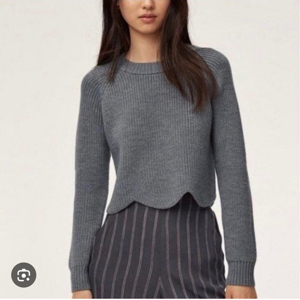 Wilfred Aritzia Sardou Knit Sweater